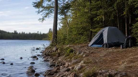 Faut-il rester proche de l’eau ou privilégier la forêt pour camper ?