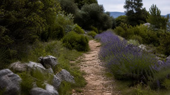 Parcours sauvages : nos coins secrets à découvrir en Provence