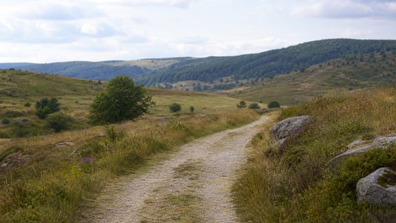Planifier une traversée apaisante de la Lozère hors des sentiers battus